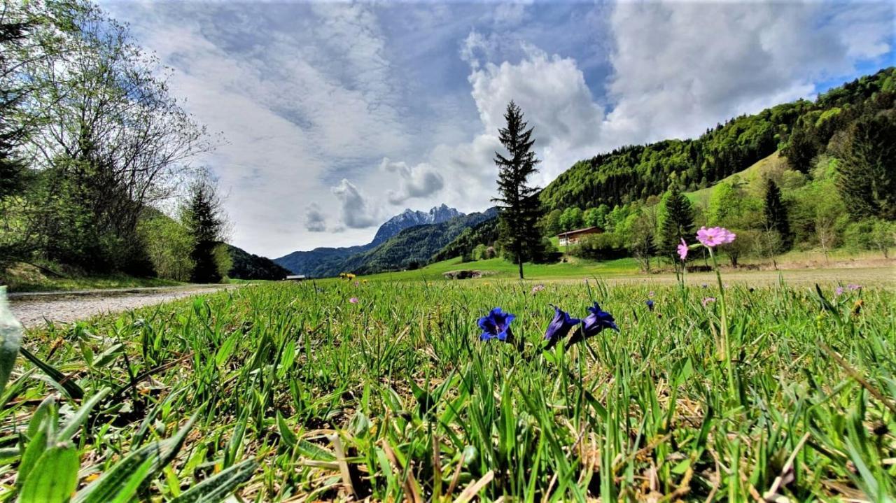 Apartament Haus Christl Am Horn Sankt Johann in Tirol Zewnętrze zdjęcie